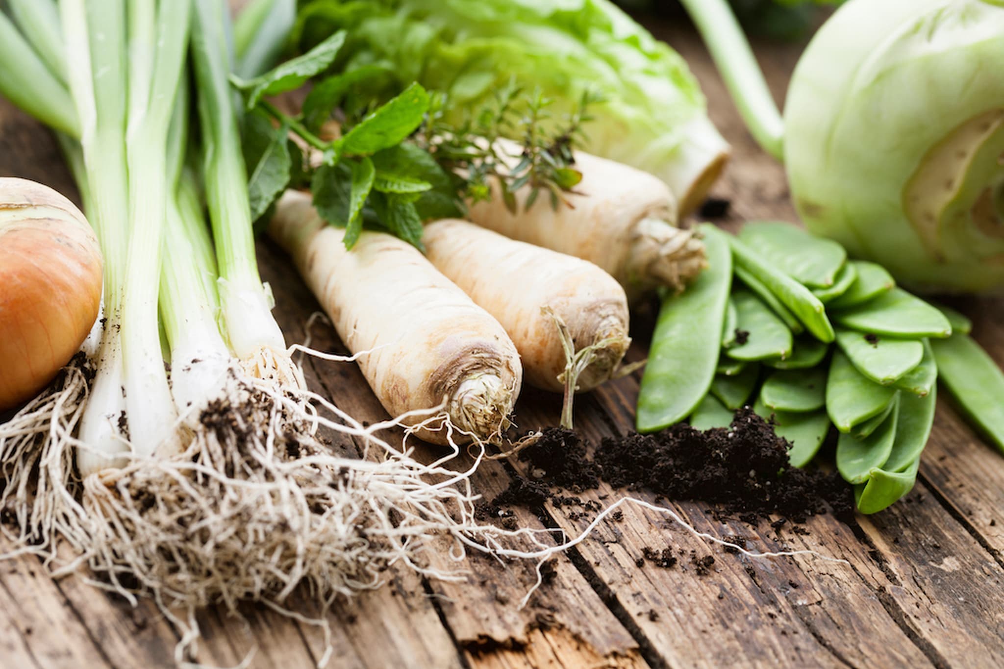 Small Veg Boxes